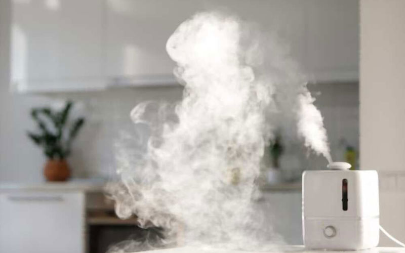 حفظ رطوبت هوا در خانه برای مراقبت از پوس در پاییز