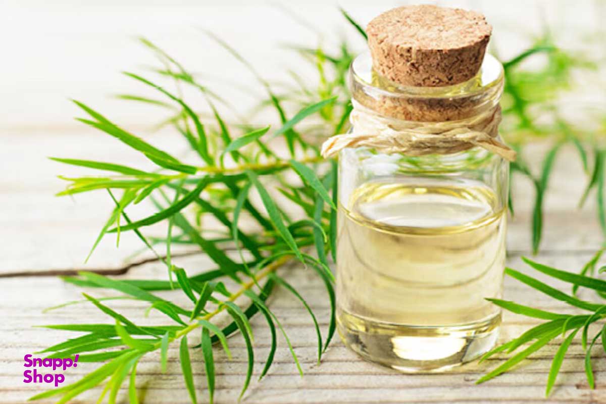 استفاده-از-روغن-درخت-چای-برای-جوش-چه-تاثیری-دارد