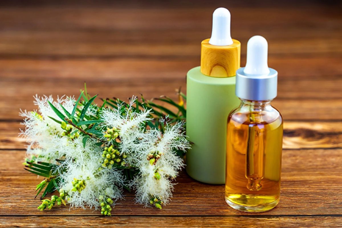 فواید روغن درخت چای برای پوست
