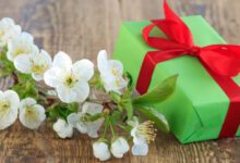 انتخاب بهترین ایده هدیه مناسب برای عید نوروز