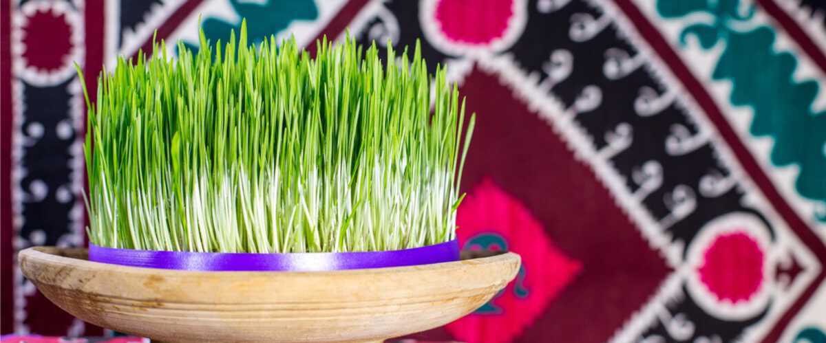 سبزه عید نوروز