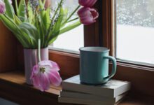 ۱۰ مورد از بهترین کتاب های خودشناسی برای درک خود و زندگی