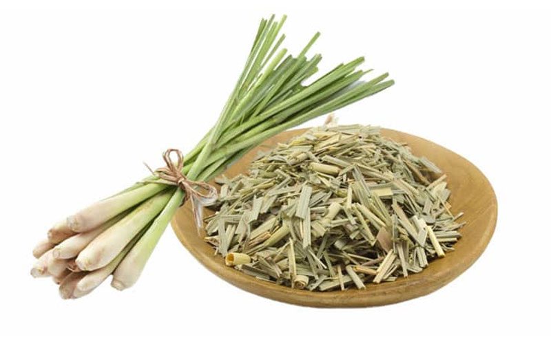 بادرنجبویه