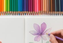 بهترین مارک های مداد رنگی برای هر هنرمند و مبتدی
