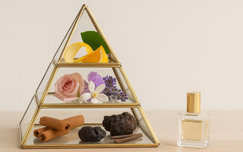 ساختار هرم بویایی عطر