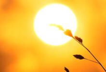 اشعه UV چیست؟ مضرات و تاثیرات مخرب آن بر بدن