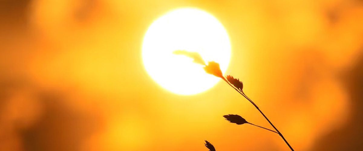 اشعه UV چیست؟ مضرات و تاثیرات مخرب آن بر بدن