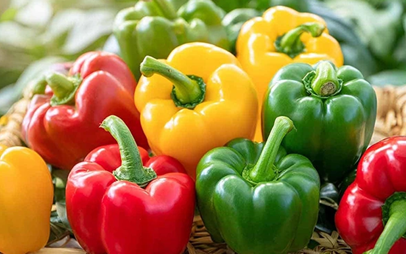 سبزیجات با طبع گرم