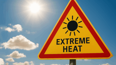 علائم گرمازدگی: چگونه گرمازدگی را تشخیص دهیم و درمان کنیم؟