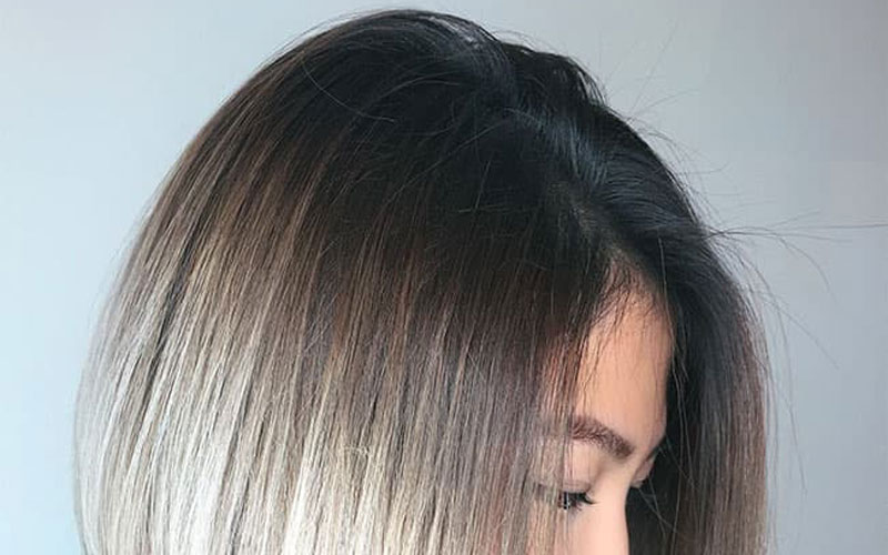 ریشه‌های سایه‌دار (Shadow Roots)