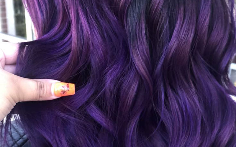 شرابی بادمجانی (Eggplant)